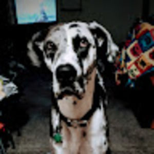 Meet your Posher, Alesha